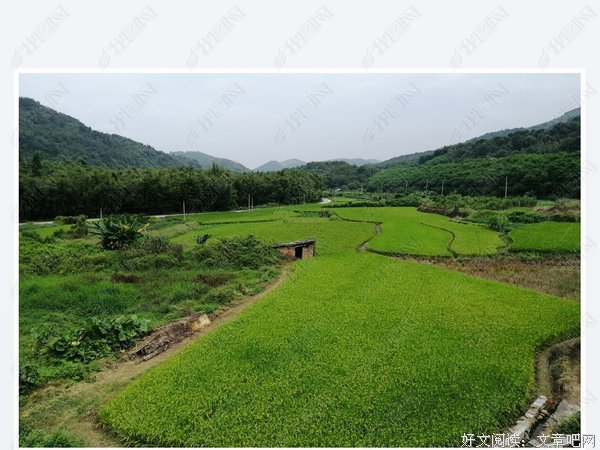 绿色乡村