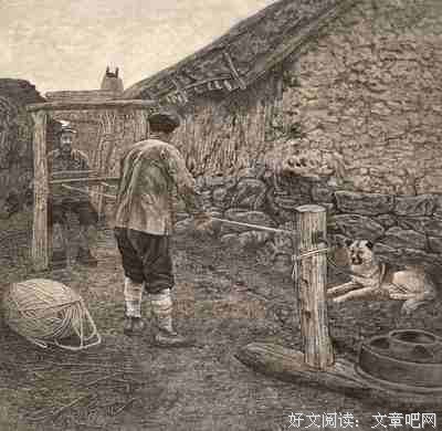  向阳花实践活动队辅导心得：基于兴趣提升阅读理解力与写作力