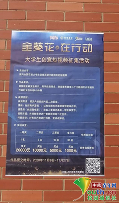 【向阳花社会实践队】7.24线上教学实践报告