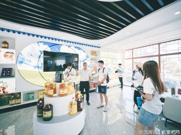 聚焦乡村振兴，电商助力发展