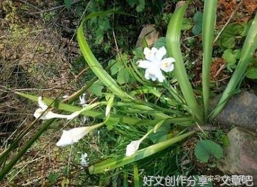 感遇——不以物喜不以己悲