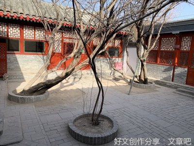 鲁迅给我们带来了什么