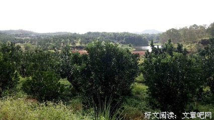 岭南师范学院筑梦方舟社会实践的有趣的支教旅途