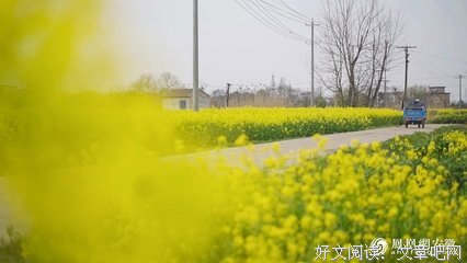 调研在路上 乡村进行时
