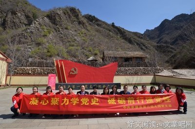 凝心聚力学党史，砥砺前行强党性