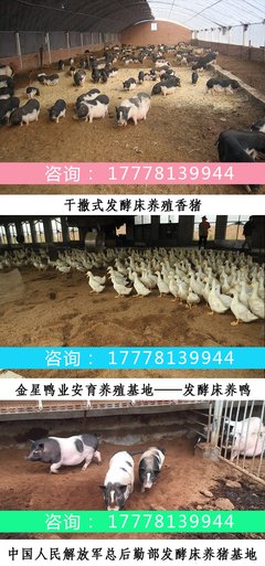 浅析加强农业信息技术培训 促进农业现代化的发展