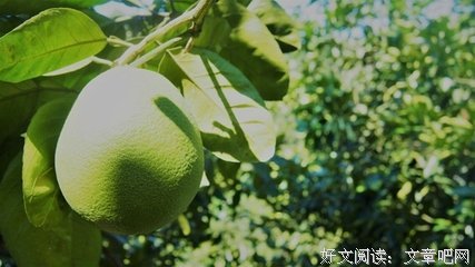 红心筑梦社会实践队三下乡第五日 红心筑梦社会实践队