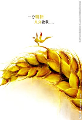 一份耕耘，一份收获