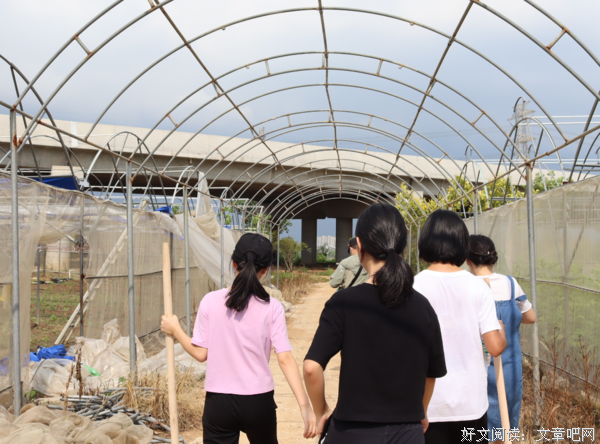 “南药科技”实践队——翻土南药种，带材荷锄归