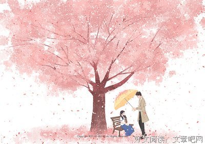 倾心护农田，潜心添福祉 ——创飞科技实践团进行农田检测