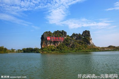 南药科技志愿服务社会实践队于岭南药材中探寻致富之道