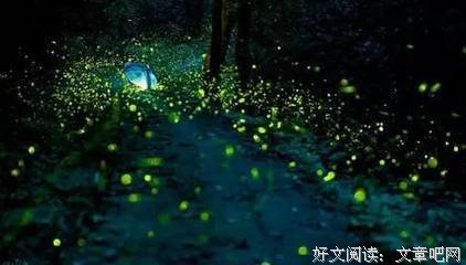仲夏繁星社会实践队：线上三下乡 云端一线牵