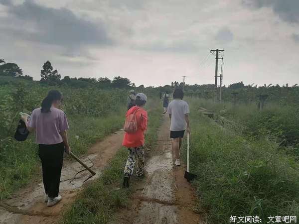 南药科技志愿社会实践队赴金绿宝农庄调研药材