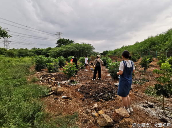 “教科院生理心理学团队”——南药种植实践