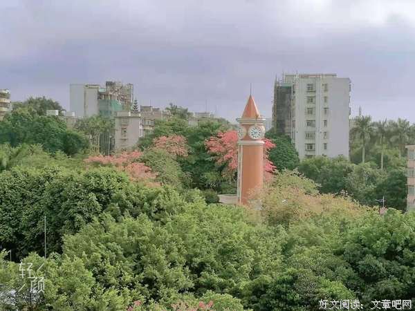 岭南师范学院“追风赶月”队三下乡|用心支教，为爱前行