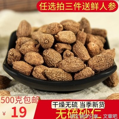 一起探寻阳春砂仁特色之旅