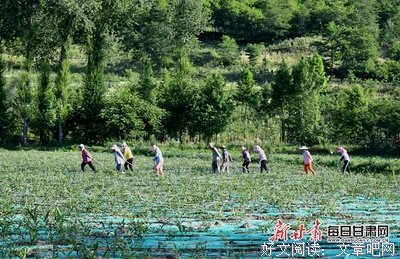 乡村振兴提质增效 饮水思源走深做实
