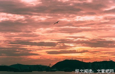 向往的天空