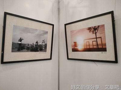 一个家庭主妇的职业精神