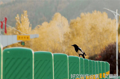 时光清浅，捻一落叶