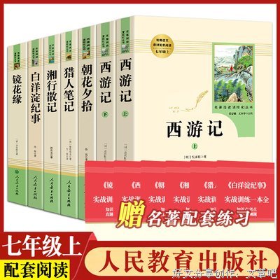 白洋淀纪事读书笔记