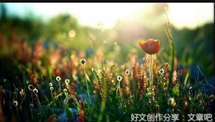 五月 家乡一弯明媚的风情
