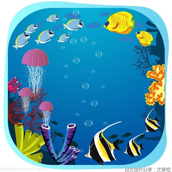 生命是鱼 生活是水