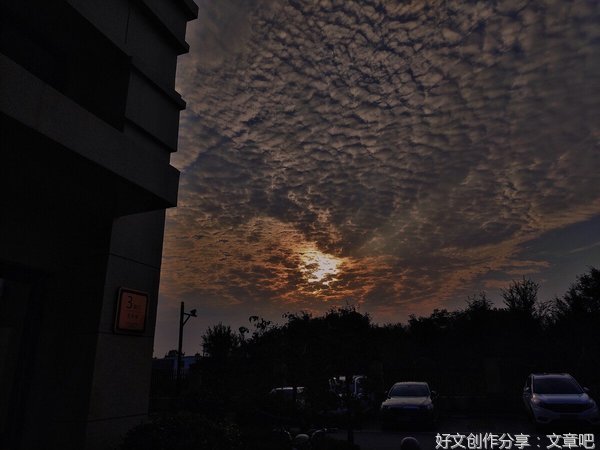 生活中的美