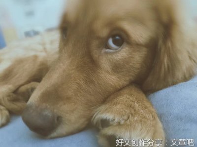 别急，车总会来