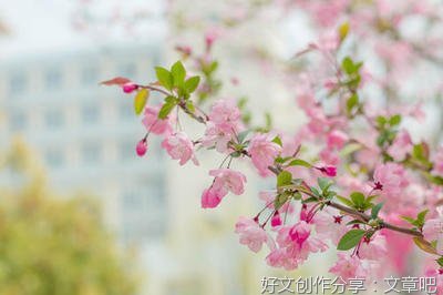 陌上花开缓缓归