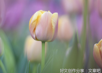 时光里，我们都是赶路人