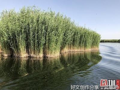 新疆是个好地方