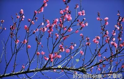 赏识和赞美