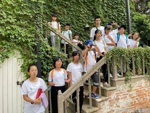 山海队|爬藤植物:给我一面墙，还你一片花海……