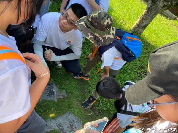 三下乡｜“山海”社会实践队： 小鸟搭巢记，自然与童真的相遇