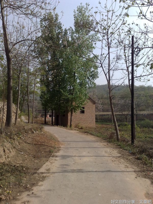 家乡的路