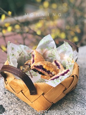 我爱迎春花