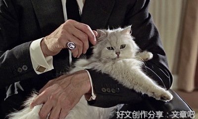 这一次