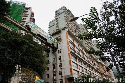 我所处的世界