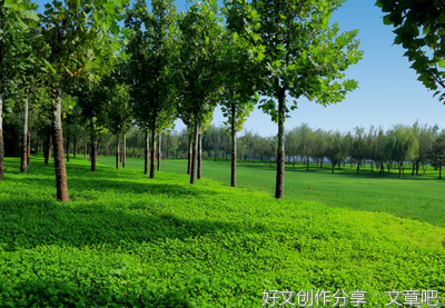 春草皆寂寞，润物细无声