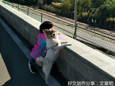 令人崩溃的“淘气包”