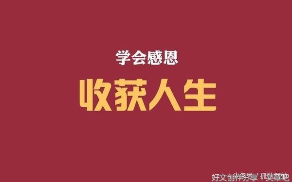 感谢自己