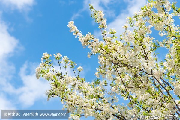 希望，是彩色的