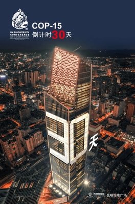 梦中