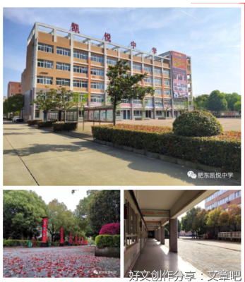 领导来学校检查的日子