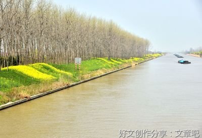 “某长制”不是基层治理的“万能灵药”