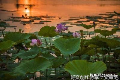 做心怀“国之大者”的大先生