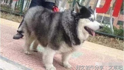 长大以后，我们各走各的