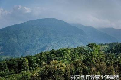 诗歌就像