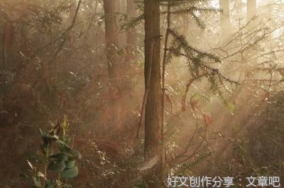 迎接春天里最美的阳光
